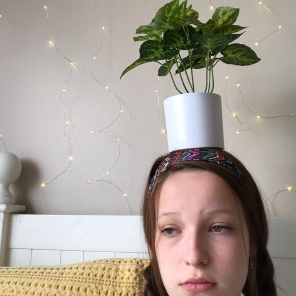 Meet your Posher, Laney - Picture 1 of 1